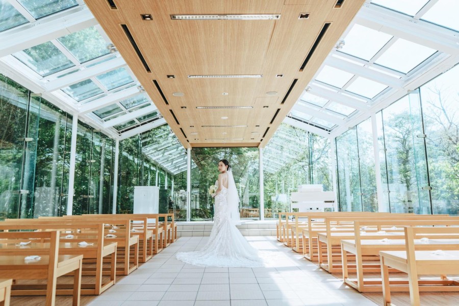 矢野 大輔 撮影写真(91)