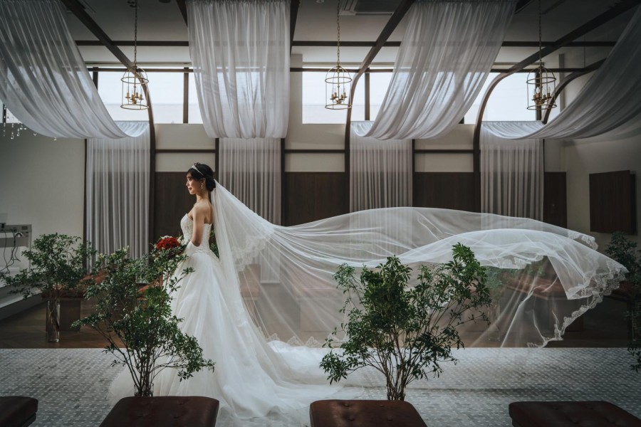 矢野 大輔 撮影写真(76)