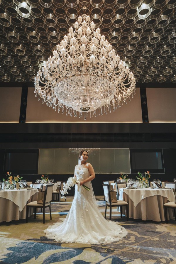 矢野 大輔 撮影写真(99)