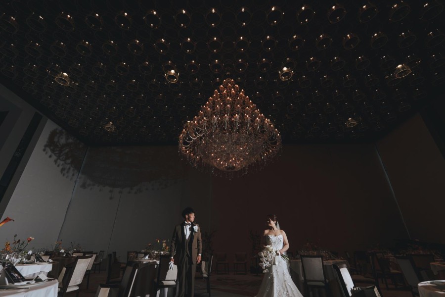 矢野 大輔 撮影写真(98)