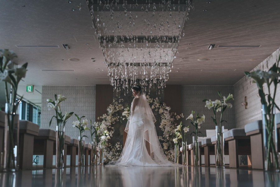 矢野 大輔 撮影写真(29)