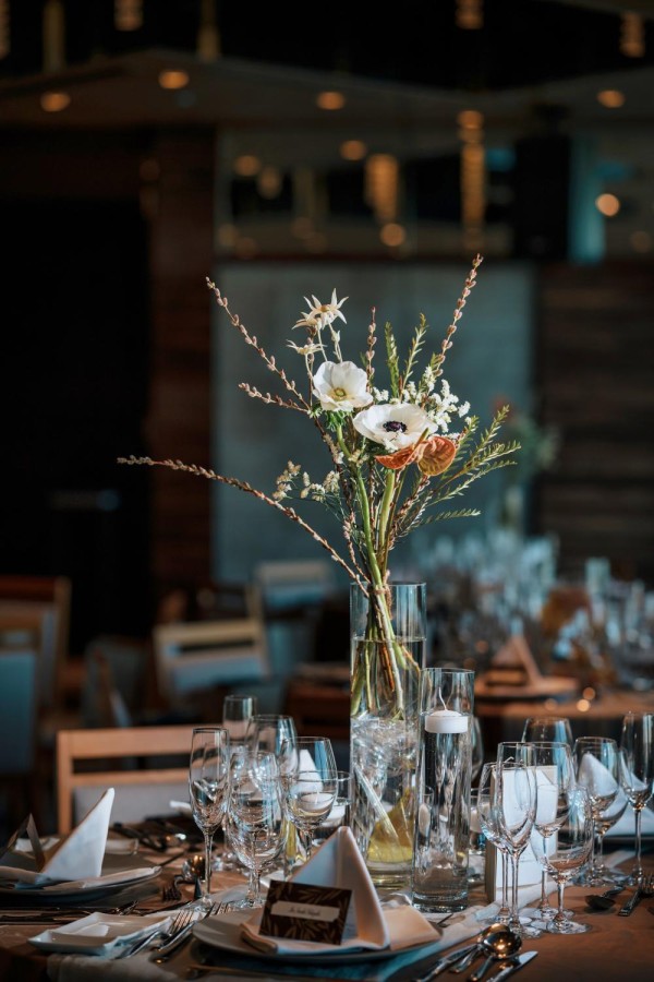 矢野 大輔 撮影写真(14)