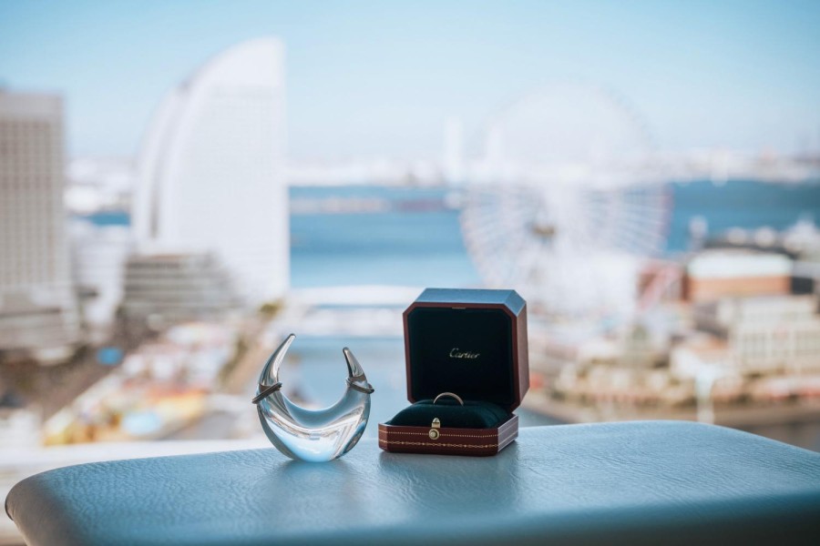 矢野 大輔 撮影写真(11)