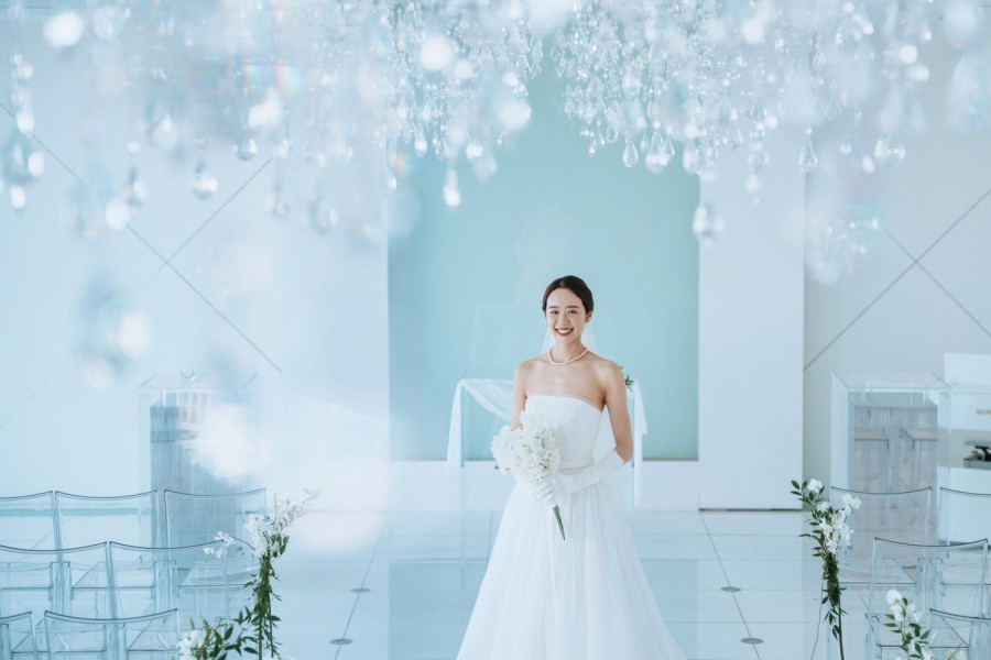 矢野 大輔 撮影写真(8)