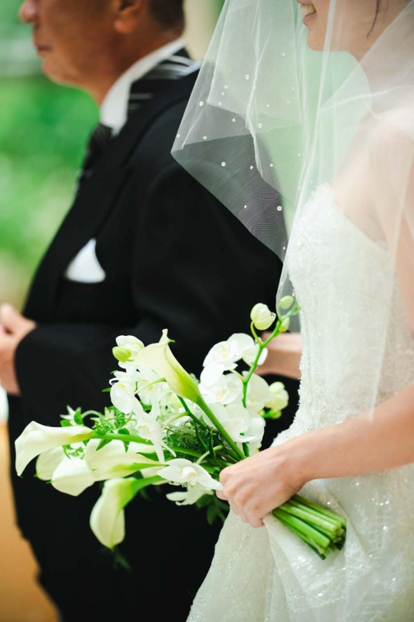 河野 輝明  撮影写真(19)