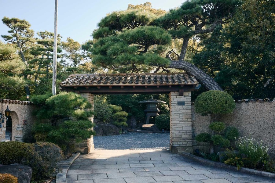 高田 遼 撮影写真(20)