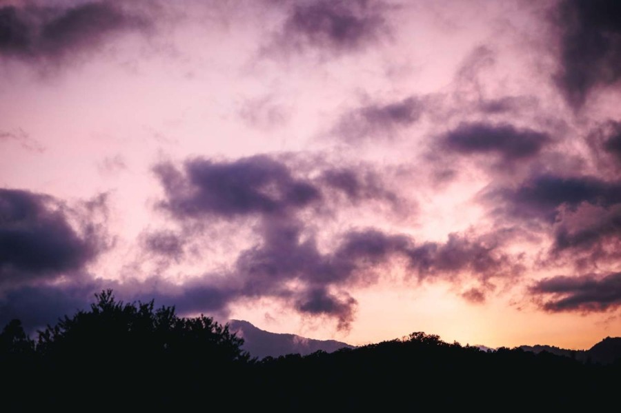 布施 宏 撮影写真(7)