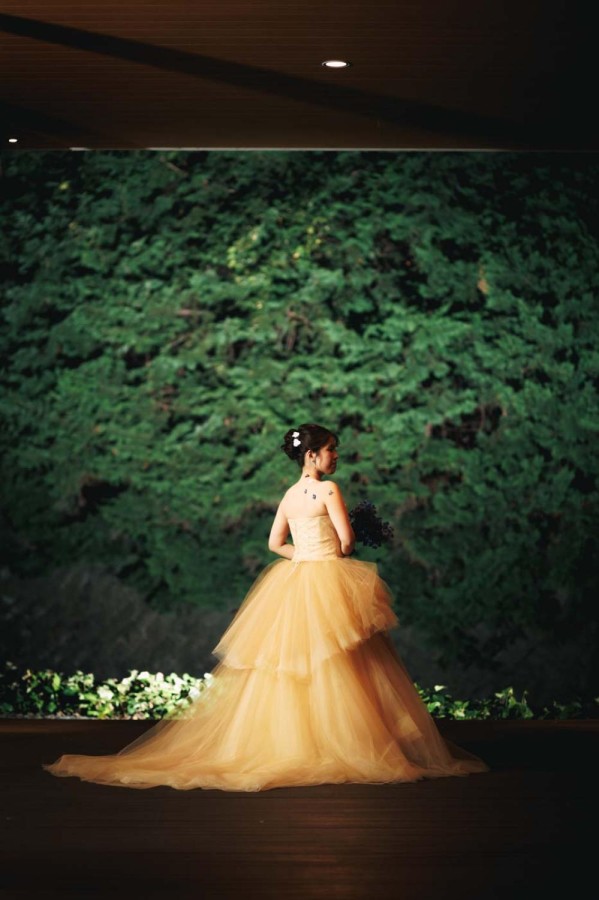 布施 宏 撮影写真(2)